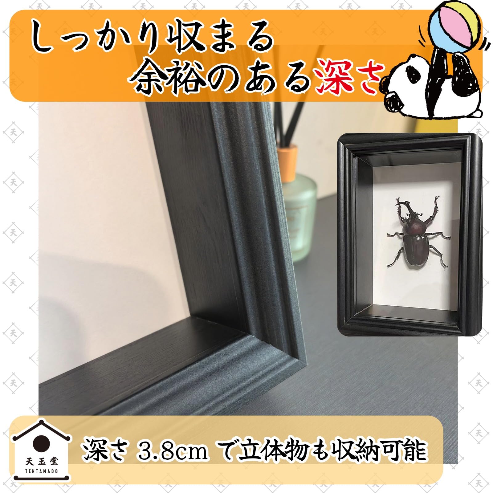 Amazon.co.jp: 天玉堂 標本箱 ドイツ箱 昆虫 蝶 展示用 木製 小型